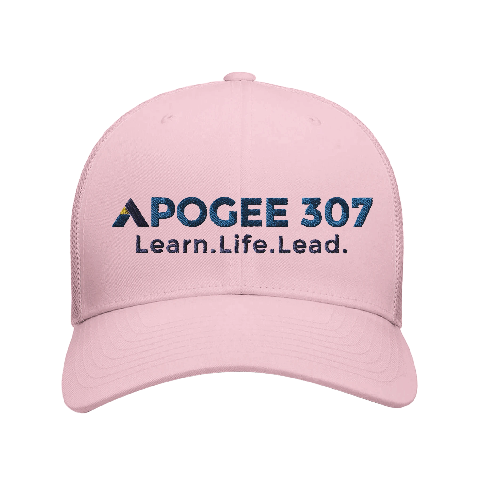 0f0d8019-aeec-4129-9a07-67b472d00ce5